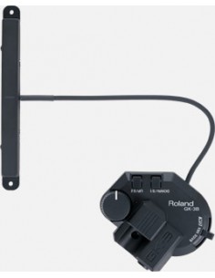 ROLAND Micro Bass GK-3B