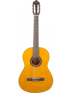 VALENCIA VC204H Hybrid