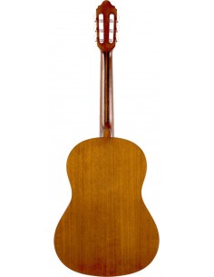 VALENCIA VC204H Hybrid 2