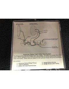 FENDER Micro AM TELE...