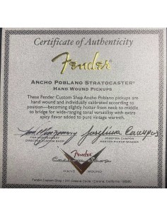 FENDER Fat 50'S Josephina...