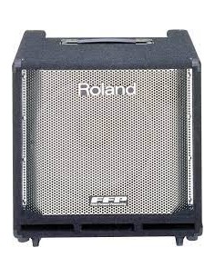 ROLAND Combo Bass DB500