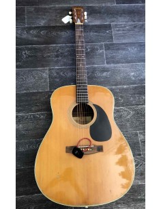 SUZUKI F-120 1976 (Martin D28) 2