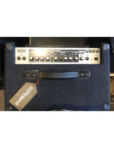 ROLAND Combo Bass DB500 2