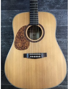 Cort Folk EARTH100NS LH 2
