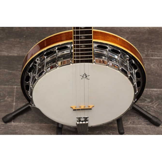 Gold Tone Banjo