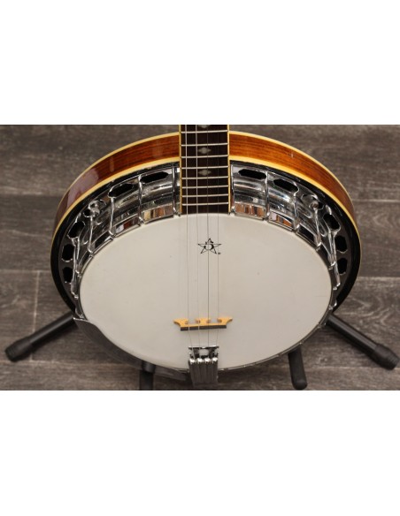 Gold Tone Banjo