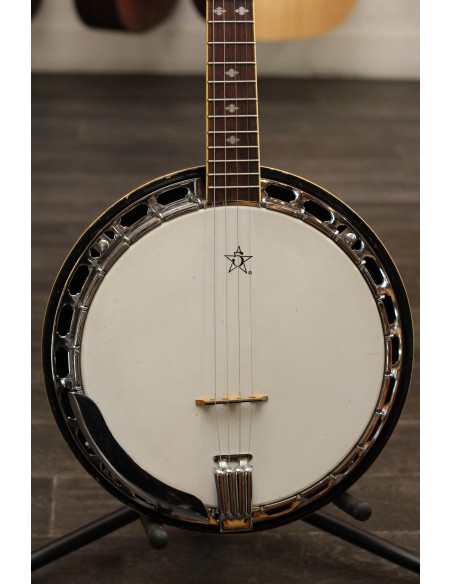 Gold Tone Banjo