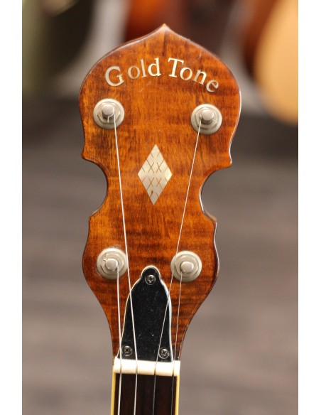 Gold Tone Banjo