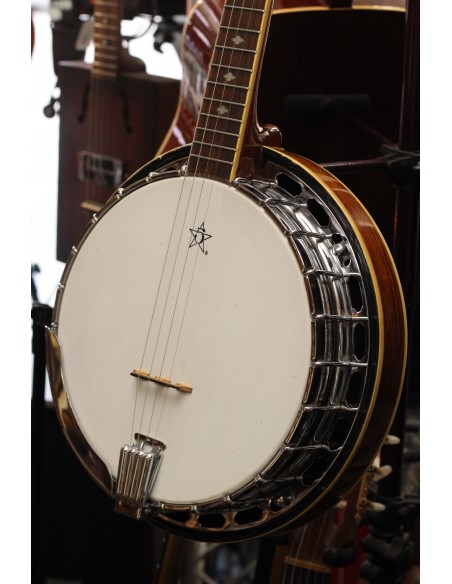 Gold Tone Banjo