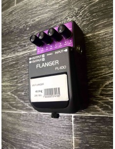 WSL Digital Delay FL-100 2