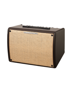 Ibanez Ampli Acoustique T30IIU 2