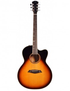 Larry Carlton Guitare... 2