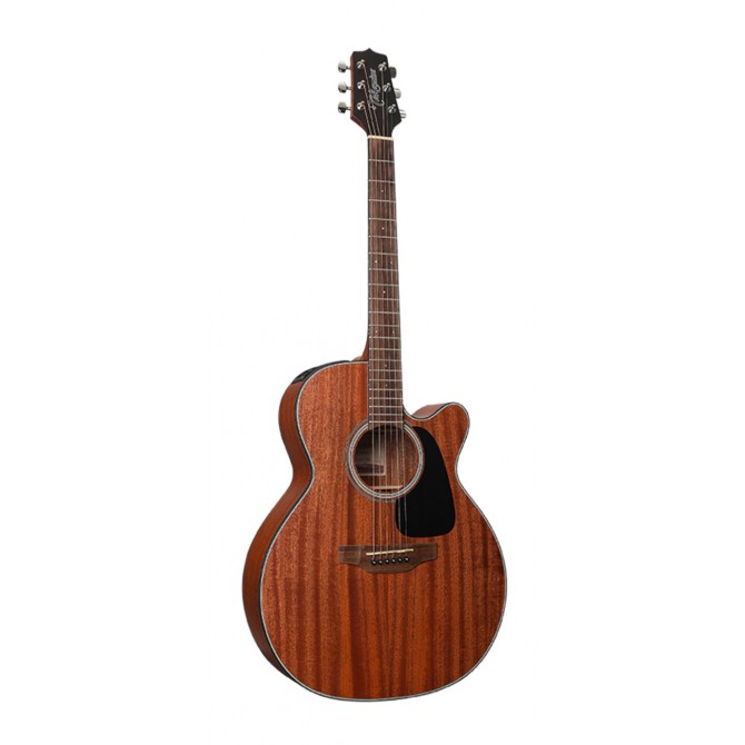 Takamine Folk Électro-Acoustique...