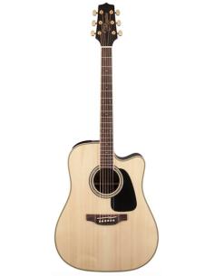 Takamine Guitare...