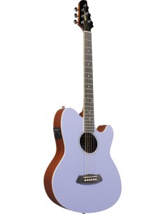 Ibanez Guitare Folk... 2