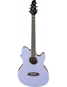 Ibanez Guitare Folk...