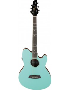 Ibanez Guitare Folk...