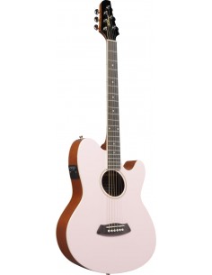 Ibanez Guitare Folk... 2