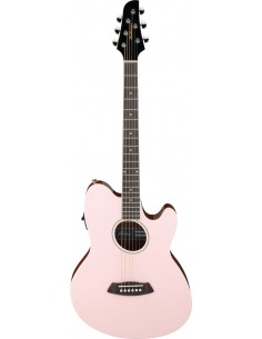 Ibanez Guitare Folk...