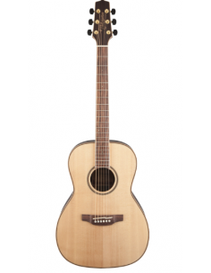 TAKAMINE GY93 NAT