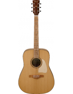 Ibanez Guitare Folk...