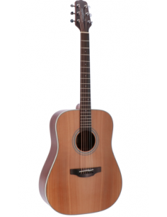 Takamine GD2OCE NS