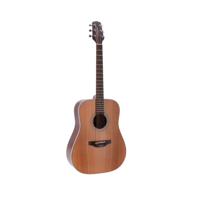 Takamine GD2OCE NS