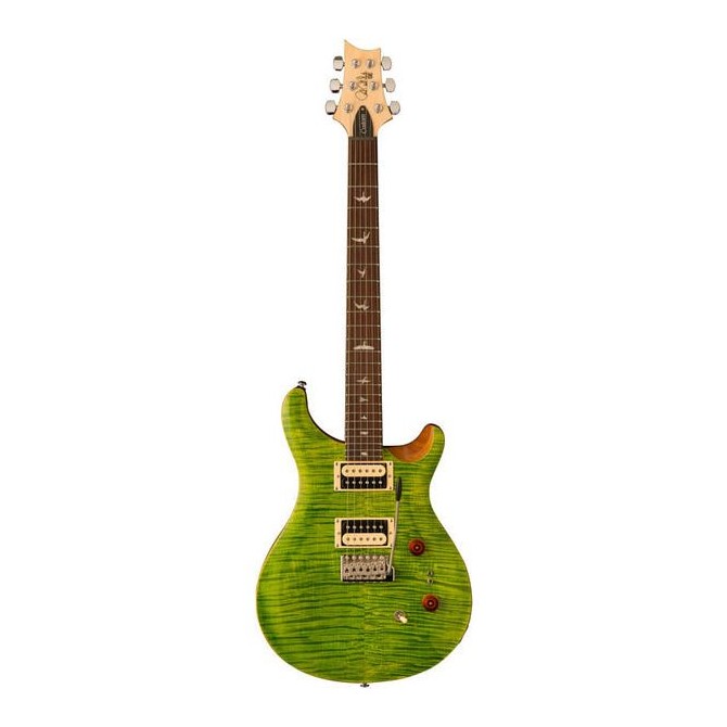 PRS SE CUSTOM 24-08 Eriza Green