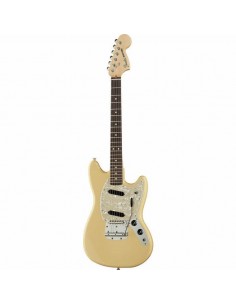 Fender American Performer... 2