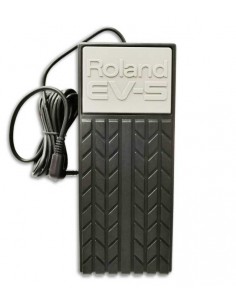 Roland EV-5...
