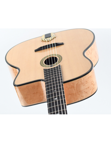 Pick & Boch  Vente de Guitare manouche Gitane DG 250 M en housse