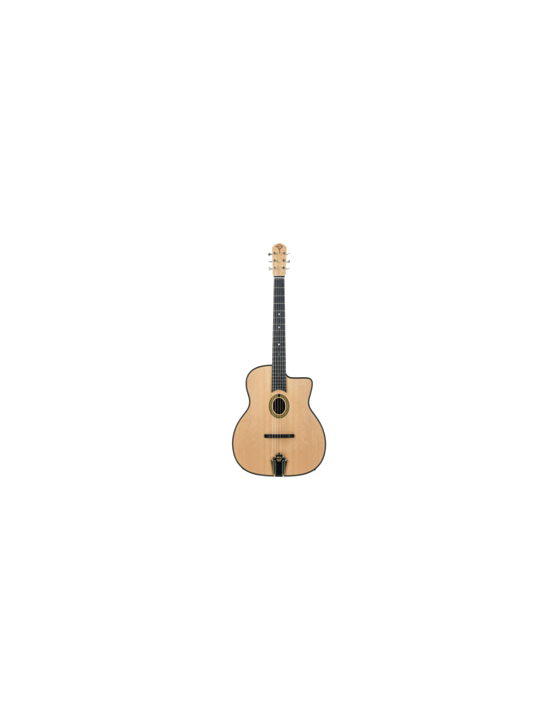 Pick & Boch  Vente de Guitare manouche Gitane DG 250 M en housse