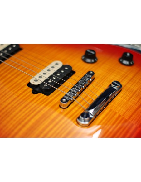 Peavey EVH Wolfgang Custom Shop   Cherry