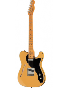 Fender Tele Blackguard... 2
