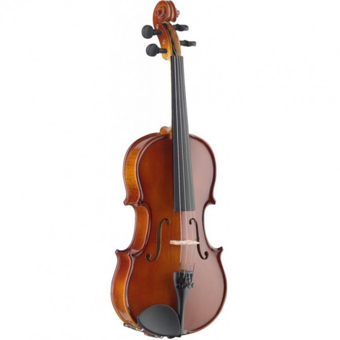 Stagg Violon Étude VN3/4EF