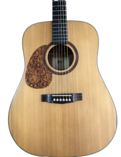 Cort Folk EARTH100NS LH