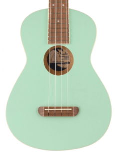 Fender Ukulélé Tenor SFG WN
