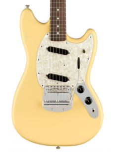 Fender American Performer...