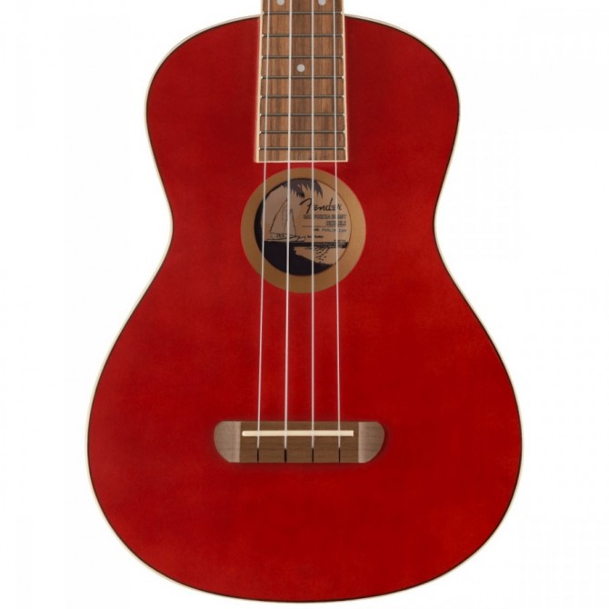 Fender Ukulélé Tenor CHY WN