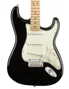 Fender Stratocaster Player...