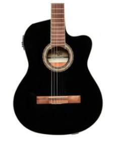 STAGG Electro-Acoustique...