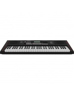 Roland Clavier Arrangeur E-X10 2