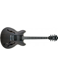 Ibanez Artcore AF53TKF  Transparent Black Flat