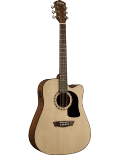 Washburn Électro-Acoustique...