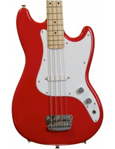 Squier Affinity Series...