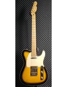 Fender Richie Kotzen... 2