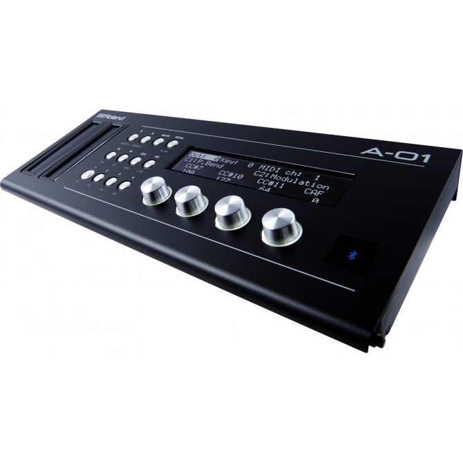 Roland Boutique Series A-01...