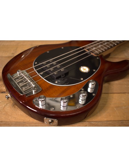 Sterling by MusicMan RAY34 Honey Burst