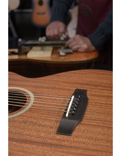 JN Guitars DEV-PFI 2